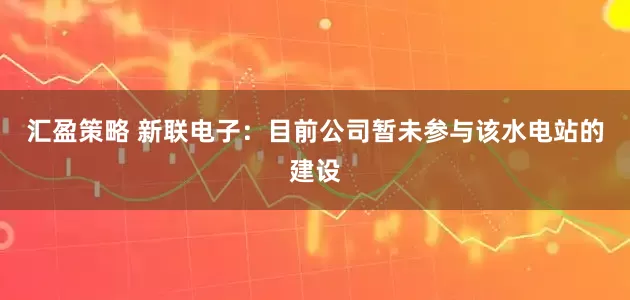 汇盈策略 新联电子：目前公司暂未参与该水电站的建设