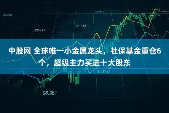 中股网 全球唯一小金属龙头，社保基金重仓6个，超级主力买进十大股东